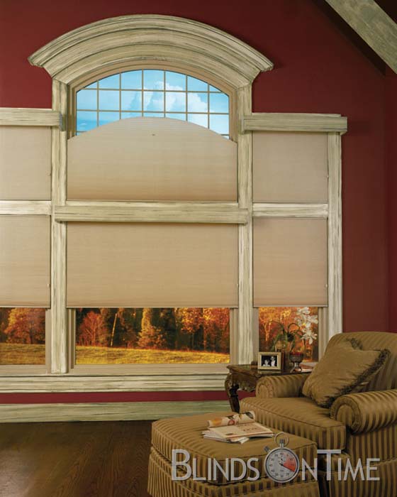BlindsOnTime Express Double Cellular Shades 3/8" Cell Light